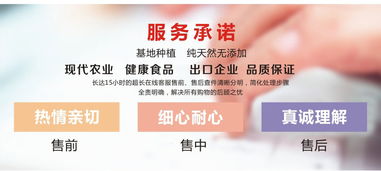 天子贵休闲食品 一站式商贸代理与批发指南