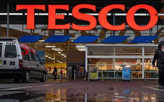 精酿啤酒市场动态与代理机遇 商贸代办助力行业拓展